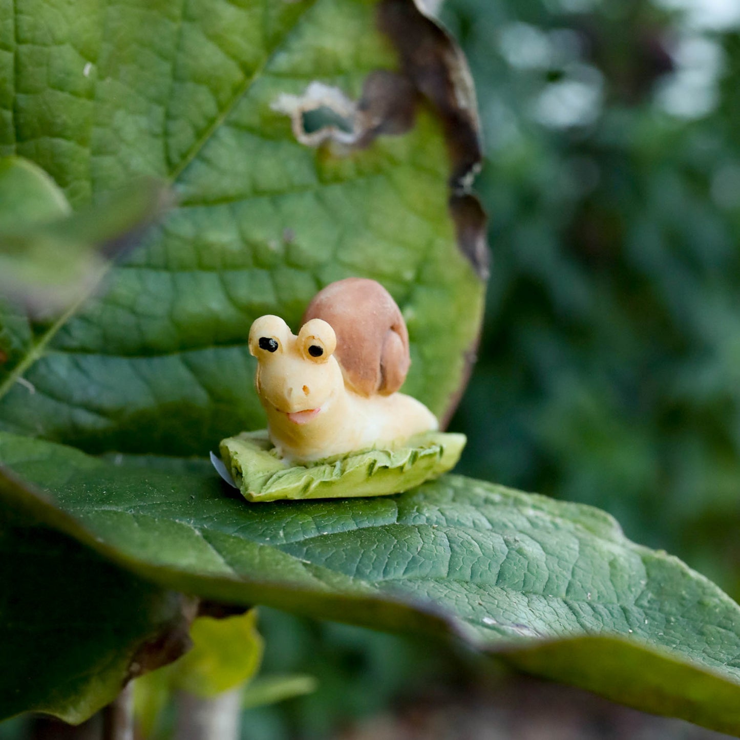 Fairy Forest Friends